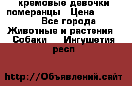кремовые девочки померанцы › Цена ­ 30 000 - Все города Животные и растения » Собаки   . Ингушетия респ.